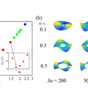 Elastohydrodynamic instability of a spinning elastic disk