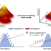 Self-propelled evolution on regenerating landscapes